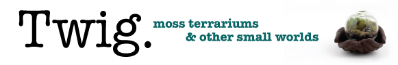 Twigterrariums.com