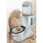 Refilling Dog Toilet Water Bowl