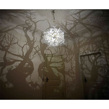 Into the Woods Projection Light