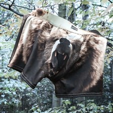 Grizzly Bear Underwear 