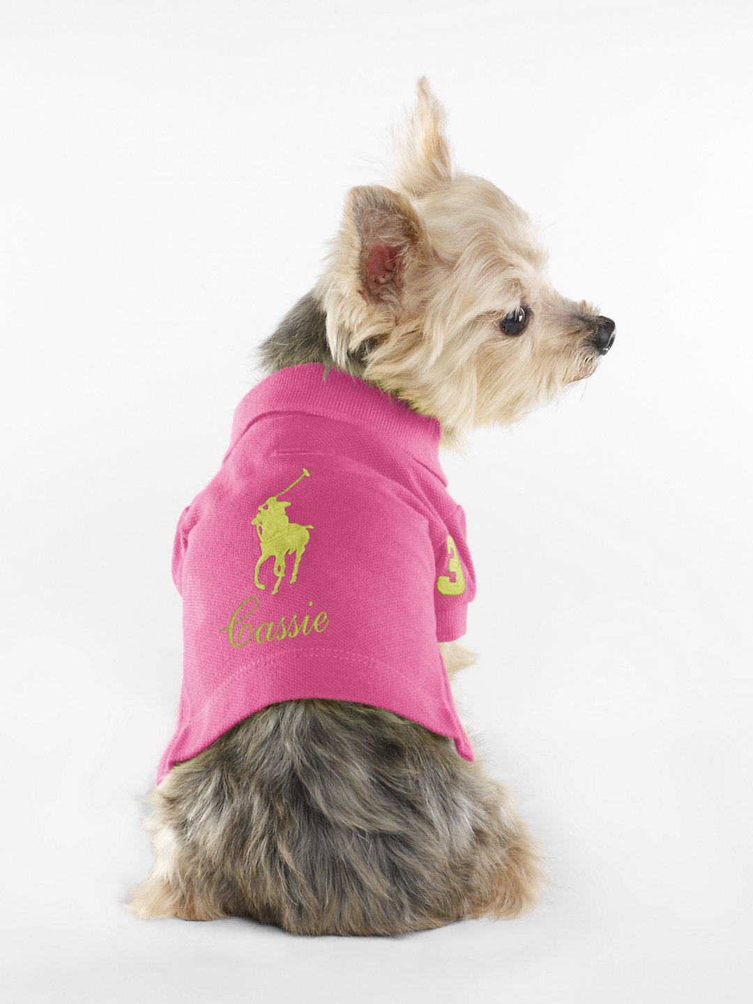 Big Pony Dog Polo - For the...