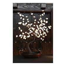 The Light Garden Lighted Bonsai Tree | Scheels