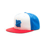 Undefeated 5strikes Hat