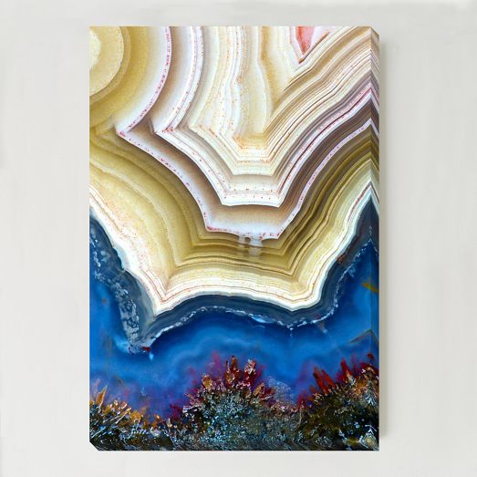 WE Print Collection, Irides...