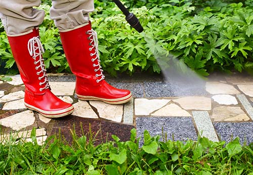 Pest Control Service In Atl...