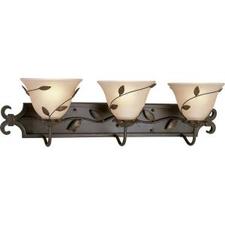 Progress Lighting Eden Collection 3-Light Forged Bronze Vanity Fixture-P3238-77 at The Home Depot