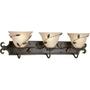 Progress Lighting Eden Collection 3-Light Forged Bronze Vanity Fixture-P3238-77 at The Home Depot