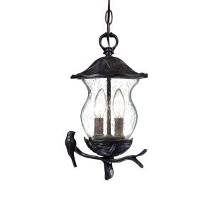 Acclaim Lighting Avian Coll...