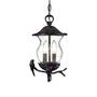 Acclaim Lighting Avian Collection Hanging Outdoor 2-Light Black Coral Light Fixture-7566BC/SD at The Home Depot