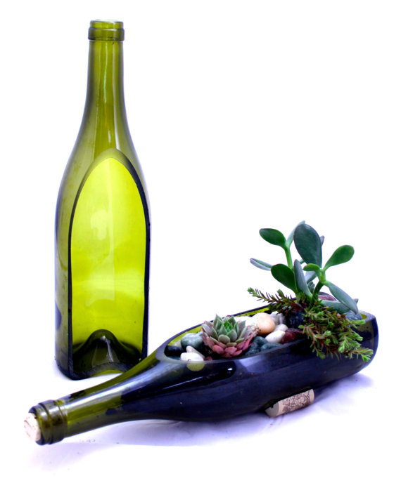 Wine Bottle Garden Succulen...