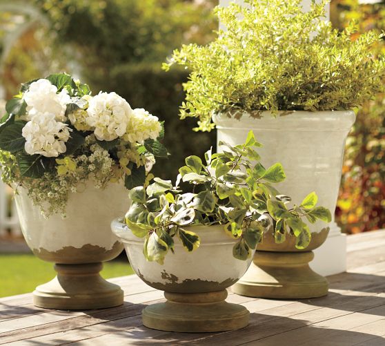 Tuscan Planters | Pottery Barn