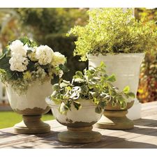 Tuscan Planters | Pottery Barn