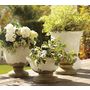 Tuscan Planters | Pottery Barn