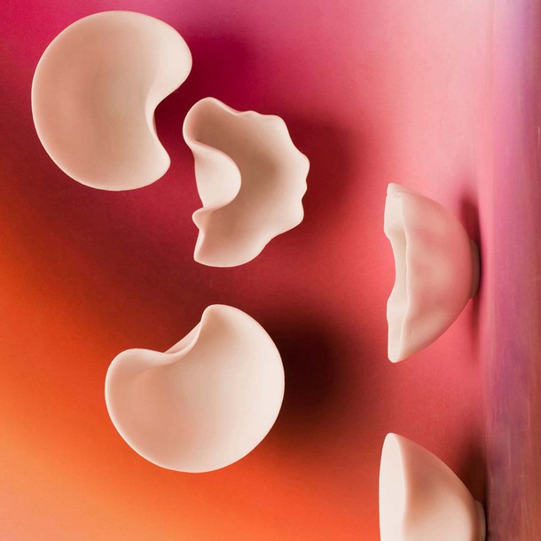 Wall Organic 6 Pc
