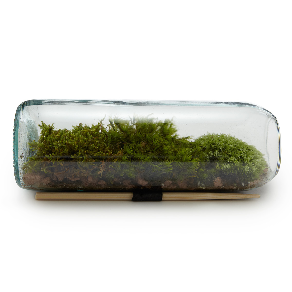 MOSS TERRARIUM BOTTLE | Gla...