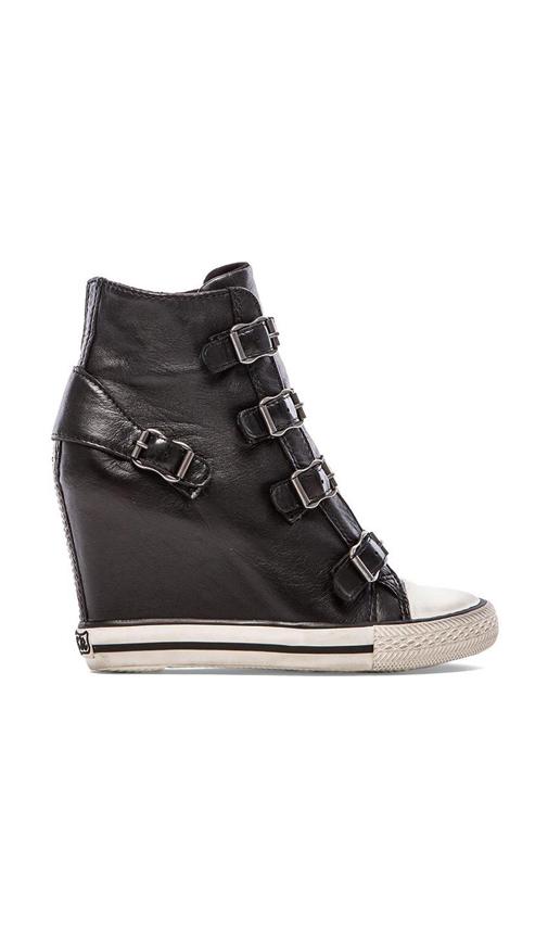 Ash United Sneaker Wedge in...