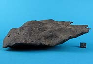 Iron Meteorite