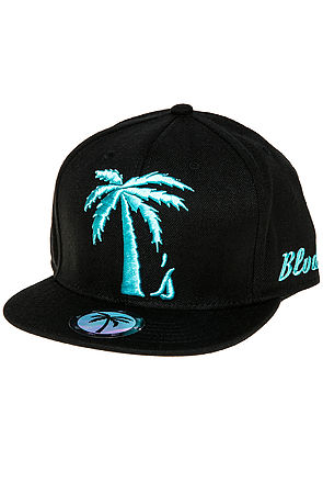 The Tree Schooler Snapback ...