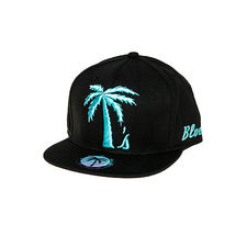 The Tree Schooler Snapback Hat in Black & Mint