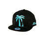 The Tree Schooler Snapback Hat in Black & Mint