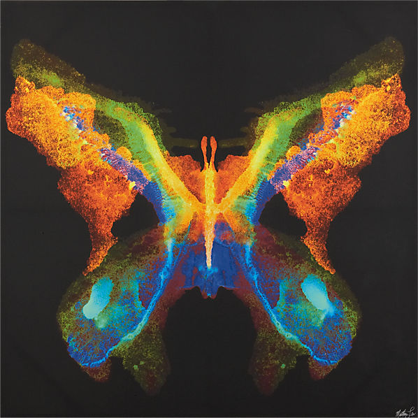 ButterflyPrint40inS13