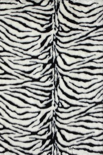 Loloi DANSO DA-01 Zebra