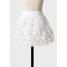 Splendid Morning Embroidered Miniskirt