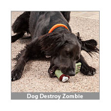 ThinkGeek :: Zombie Foot Dog Toy