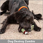 ThinkGeek :: Zombie Foot Dog Toy