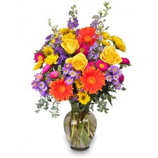 Better Than Ever Bouquet in Highland, MI - FLOWER FACTORY
