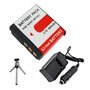 Replacement Battery PLUS Mini Battery Travel Charger for Specific Digital Camera and Camcorder 