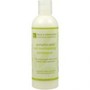 Darcy's Botanical Pumpkin Seed Curl Moisturizing Conditioner