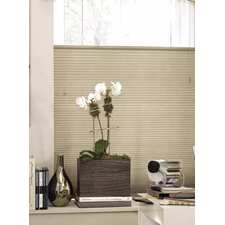 Crown TDBU Cordless LF Cellular Shades