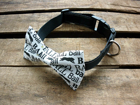 Dog Collar With Bowtie. Dog...