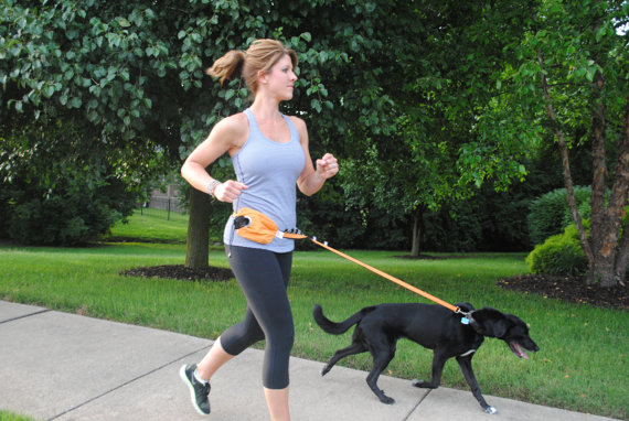 Hands Free Leash that holds...