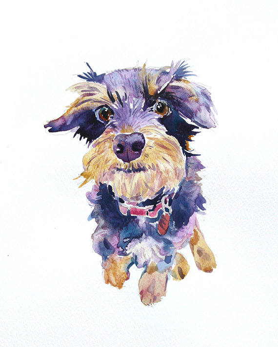Custom Pet  Portrait - Cust...