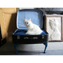 Vintage Suitcase Pet Bed