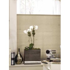 Crown TDBU Cordless LF Cellular Shades
