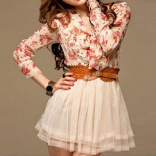 Sweet Bow Tie Neck Long Sleeve Floral Print Dress For Women
