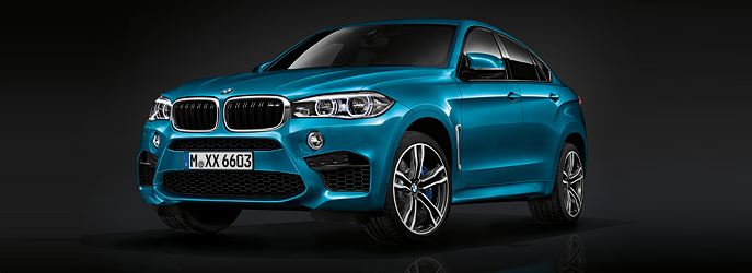 BMW X6 M 