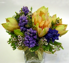 Classic Holland Flowers