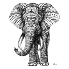 Ornate Elephant Art Print