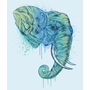 Elephant Portrait Stretched Canvas