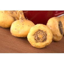 Maca Root Powder (Gelatinized, 1/2 lb) | Optimally Organic