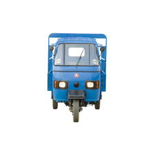 Autorickshaw – Delivery Van, Pickup Van, Passenger Van, Indian 3 Wheelers, Rickshaw, Tuk Tuk, Tuc Tuc