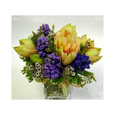 classic-holland-flowers2