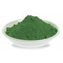 Freeze Dried Marine Phytoplankton Powder