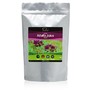 Alfalfa Grass Juice Powder (1/4 lb)