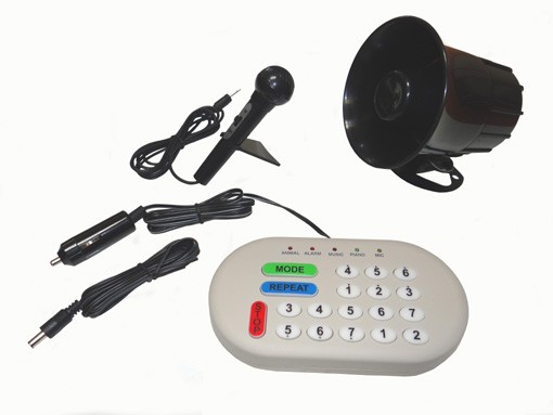 Electronic Musical Play Hor...