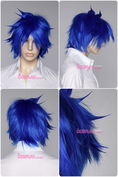 Mystogan Cosplay Wig Versio...